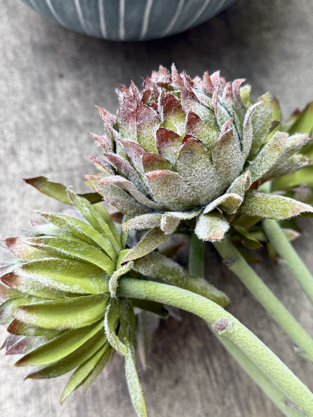 Flor alcachofa