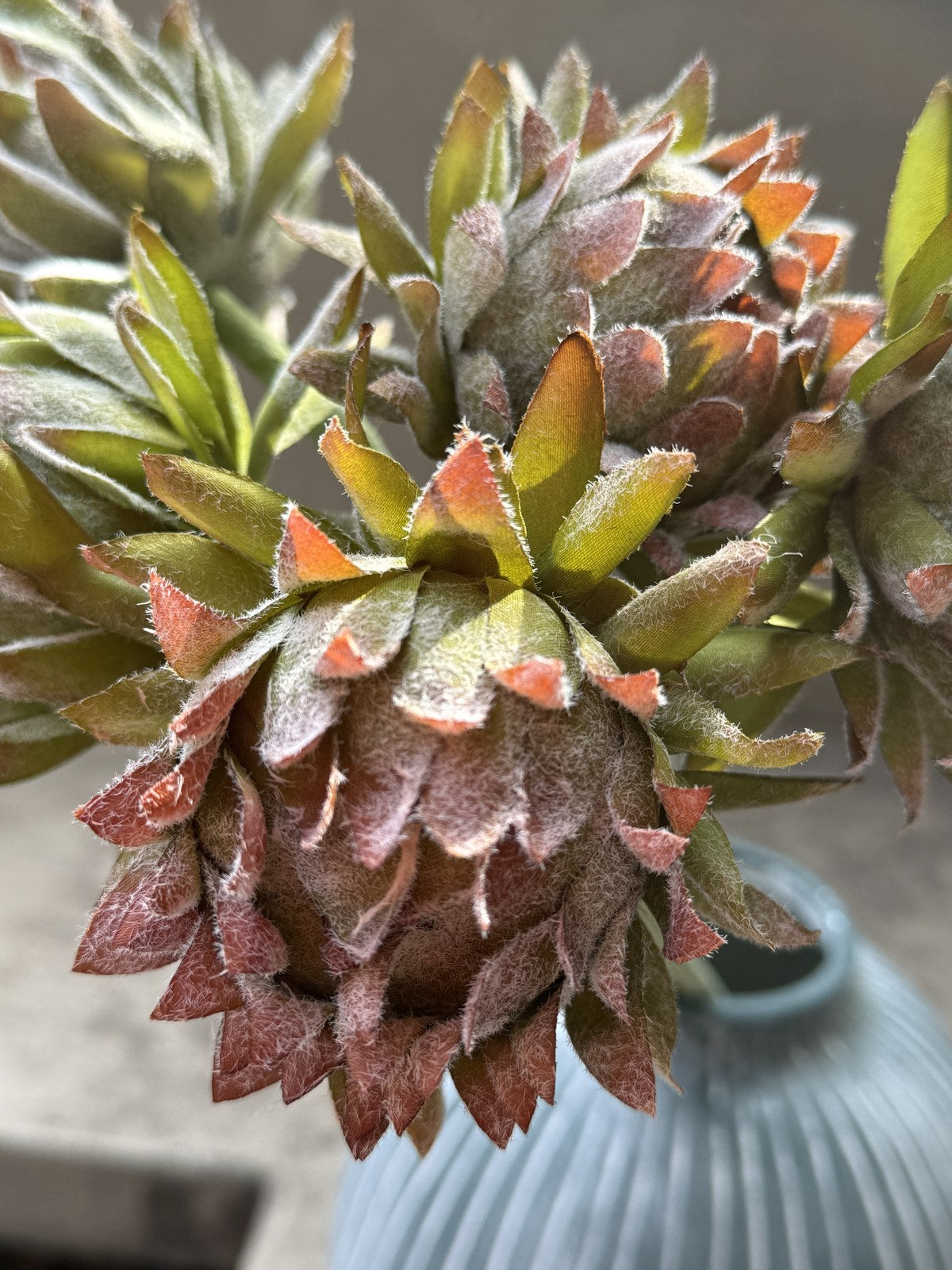 Flor alcachofa