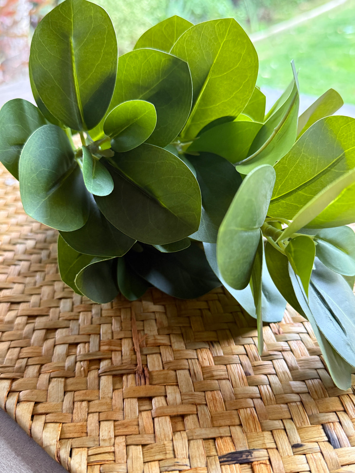 Rama Ruscus verde