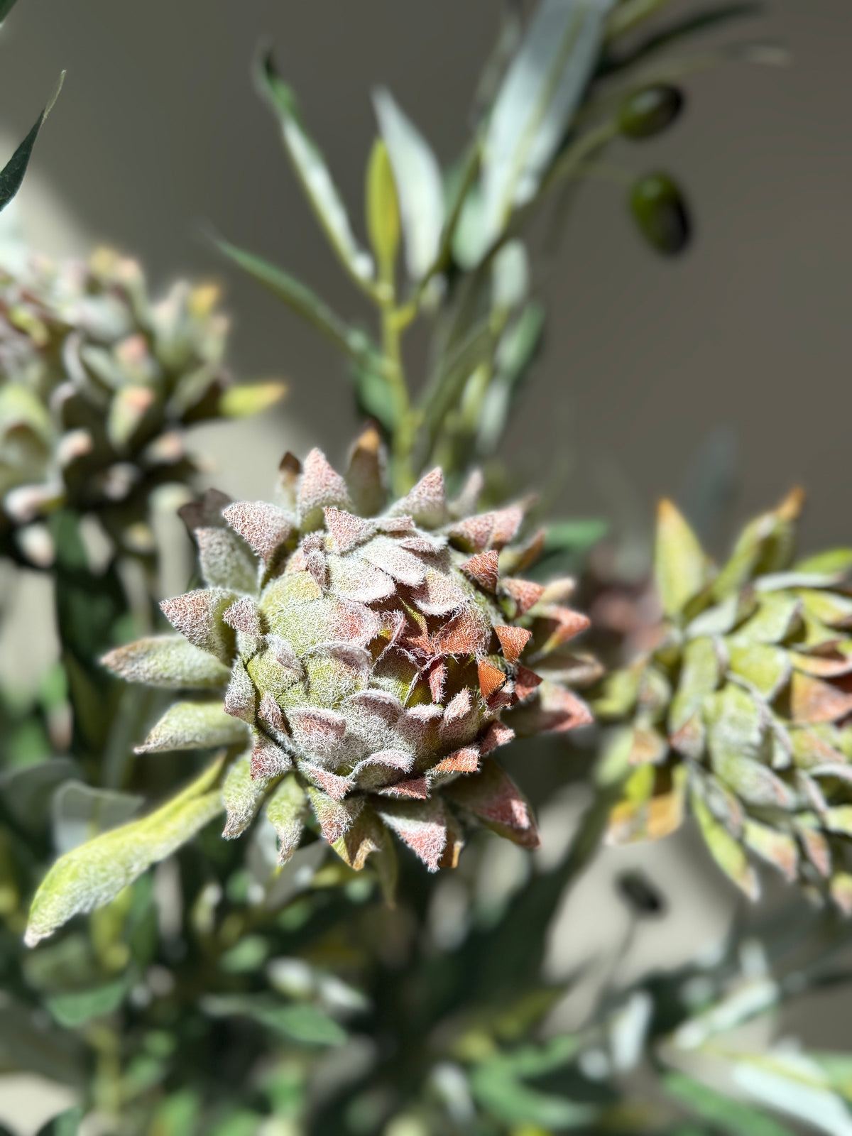Flor alcachofa