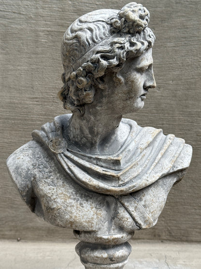 Busto Apolo