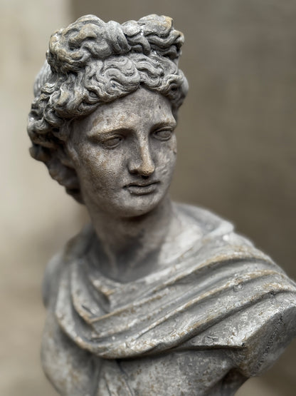Busto Apolo